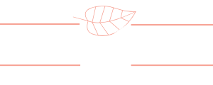 Call Your SPA